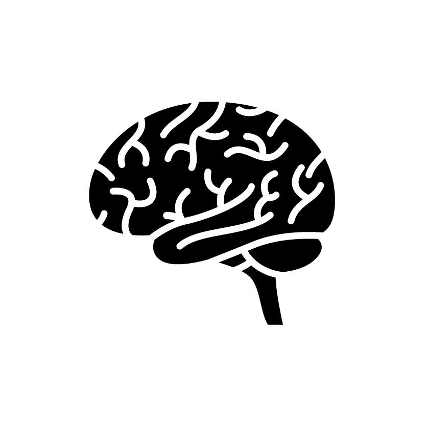 Brain