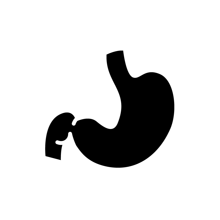 Digestion